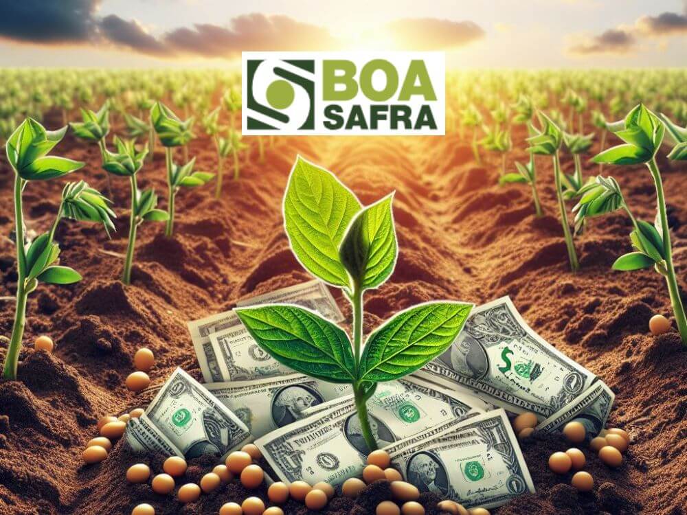 boa-safra-anuncia-jcp